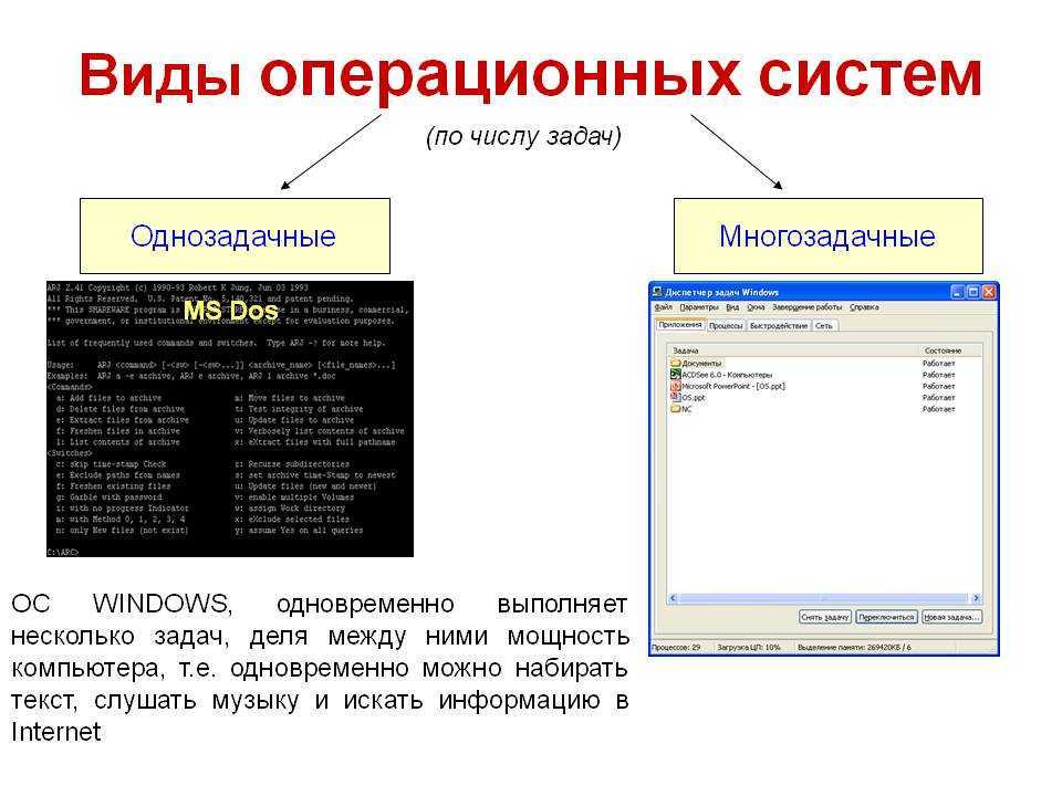 Шершень и оса — кто жалит сильнее, последствия укуса, аллергическая реакция, первая помощь после атаки