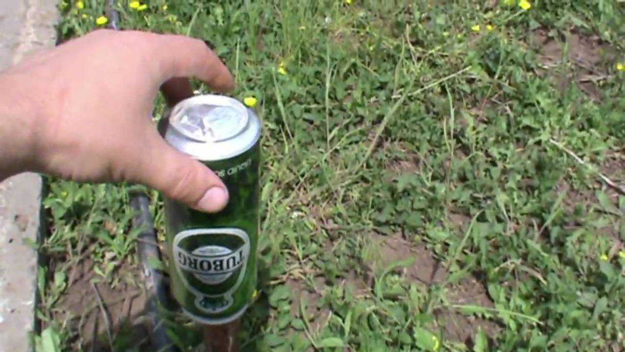 Как избавиться от кротов 🦔 на дачном участке и побороть в огороде навсегда