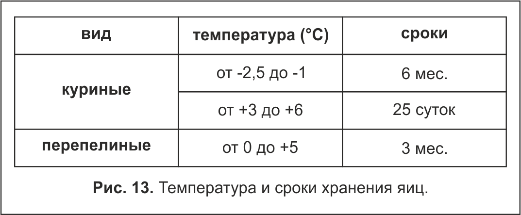 Как хранить яйца куриные в домашних условиях: где, как и сколько