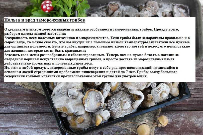 Сколько времени варить шампиньоны: правильно готовим свежие и замороженные грибы в кастрюле, мультиварке, пароварке - onwomen.ru