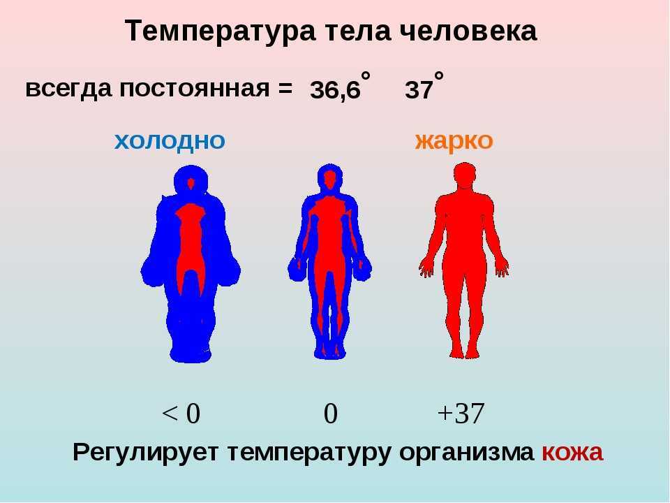Чем утеплить пол в деревянном доме снизу недорого