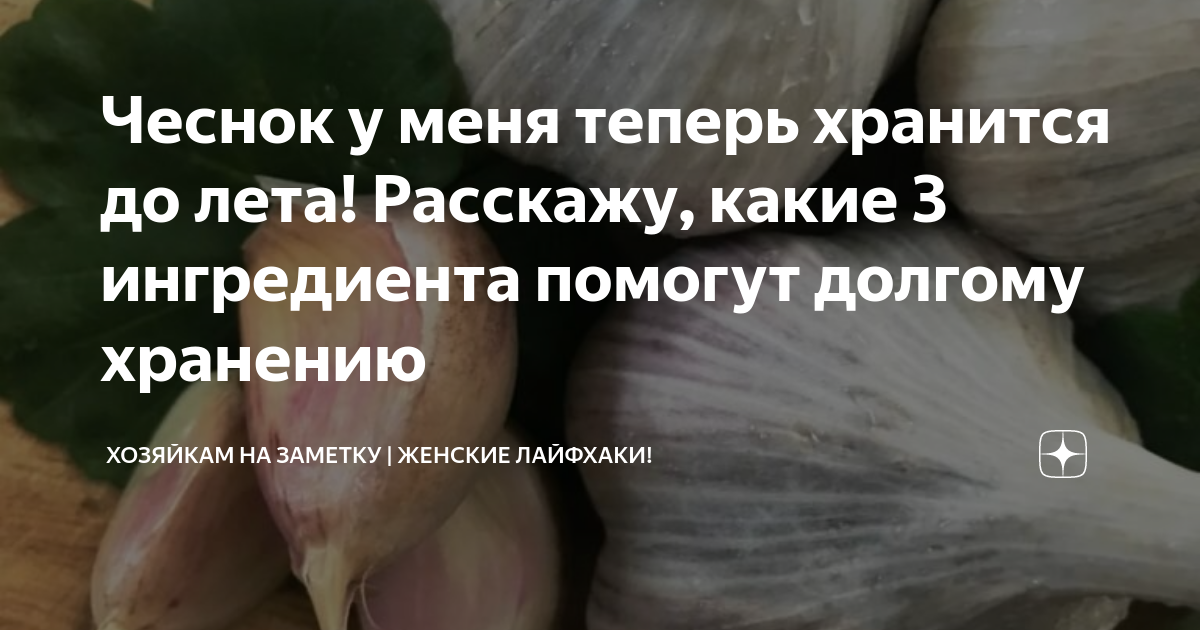 Как хранить чеснок: 10 проверенных способов - дачные советы