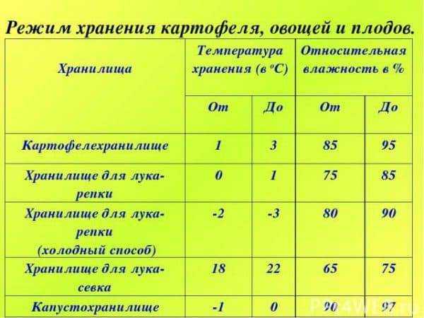 Можно ли хранить картошку в холодильнике: это важно знать