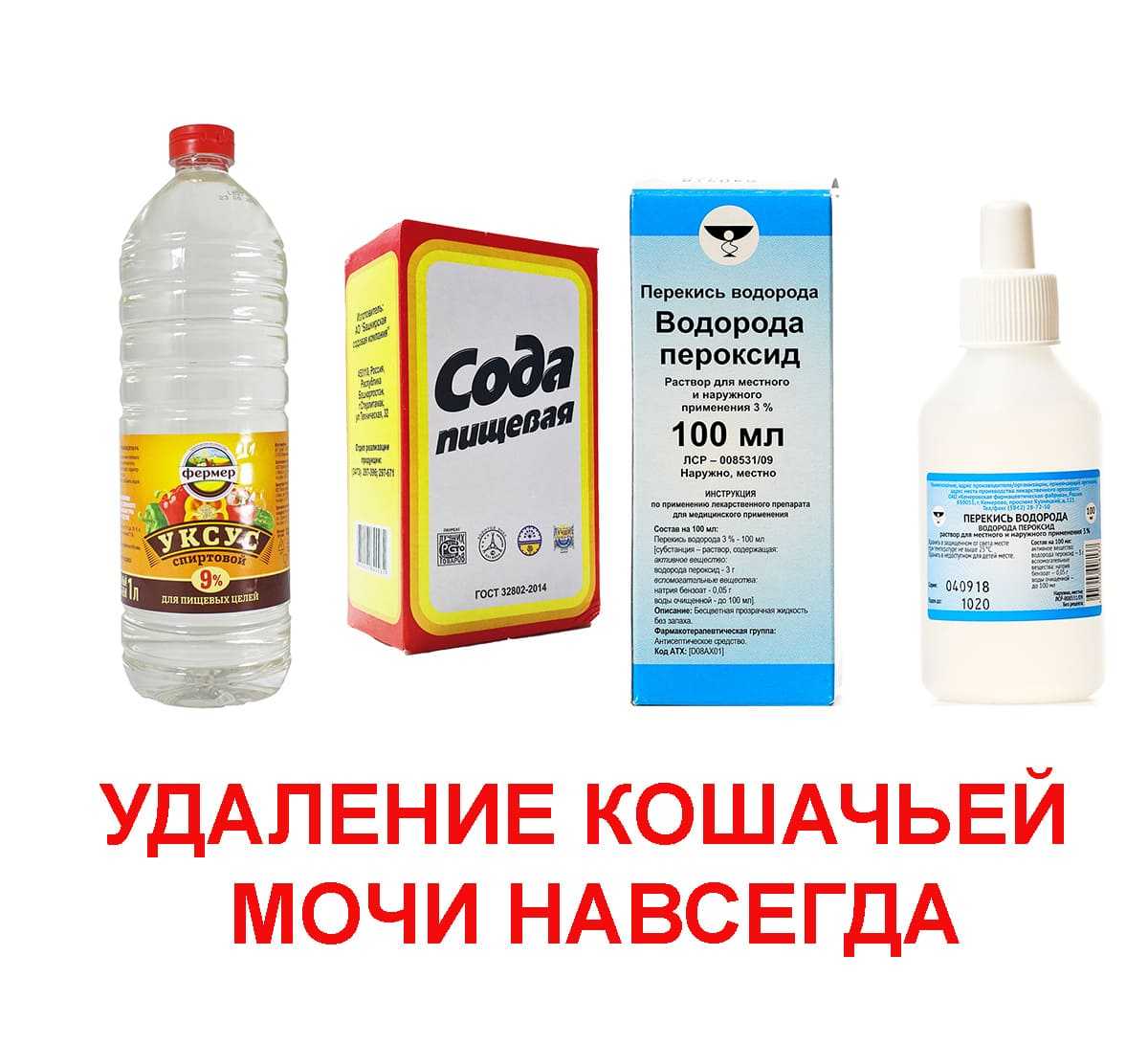 Как избавиться от неприятного запаха кошачьей мочи в квартире, если кошка написала на диван, ковер или в обувь?