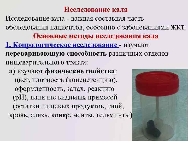 Как хранить барсучий жир правильно: какой срок хранения в холодильнике и морозильнике
