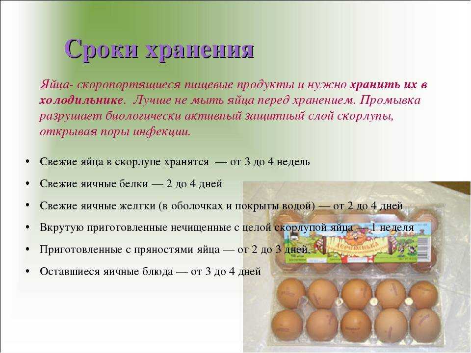 Правильное хранение белка — способы и правила | что и как хранить