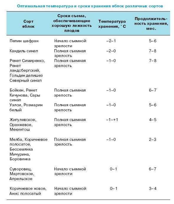 Как хранить яблоки в домашних условиях на зиму