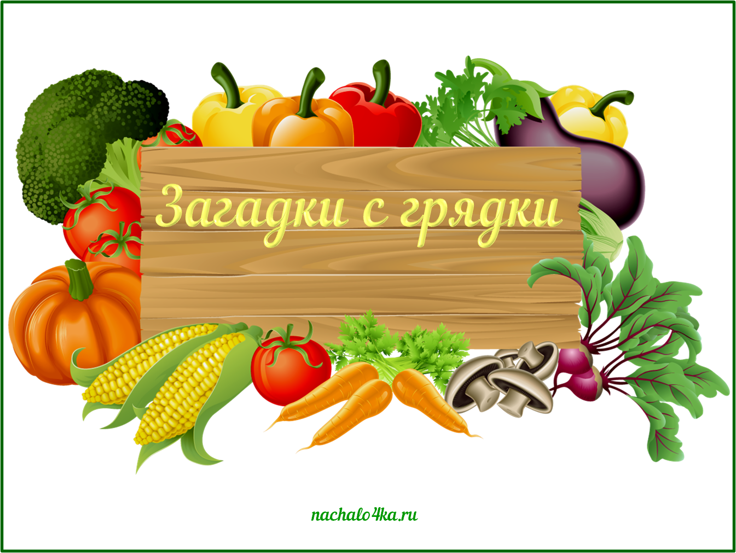 Средства бытовой химии: какие компоненты в бытовой химии опасны