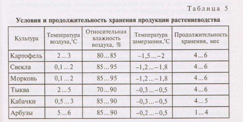 Хранение моркови в пакетах (полиэтиленовых, вакуумных, вместе со свеклой, мытую и т.д.): можно ли и как хранить?