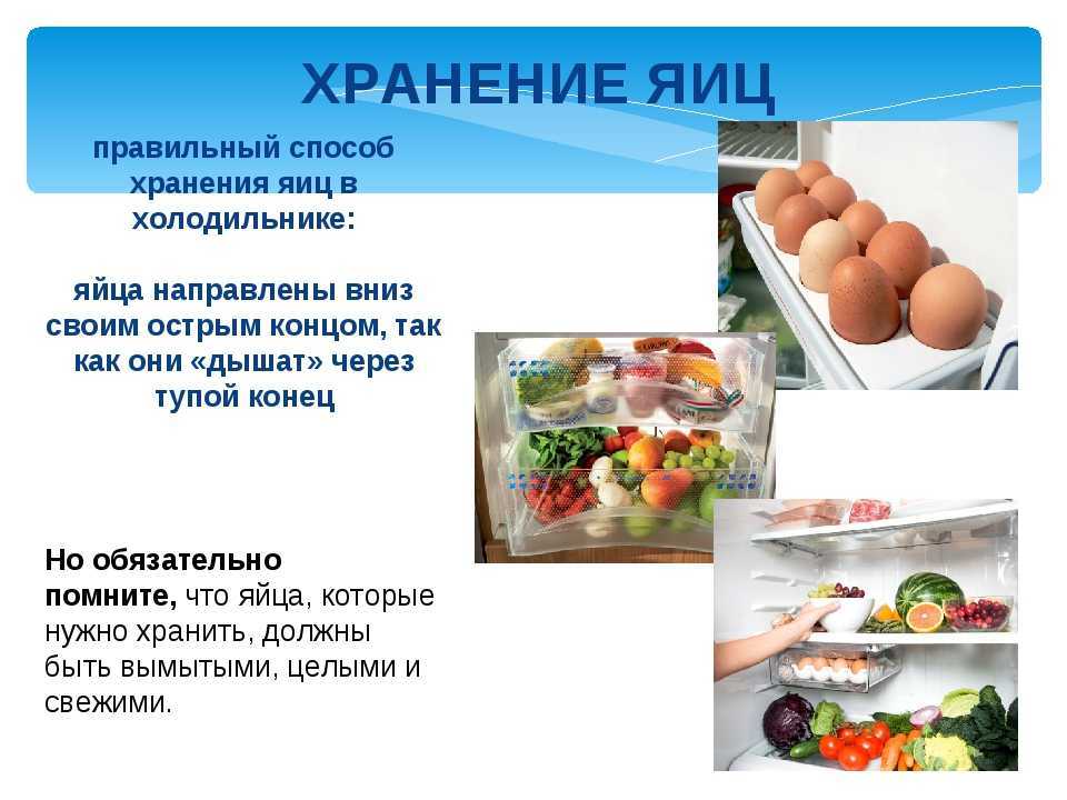 Срок годности различных видов яиц в бытовом холодильнике в зависимости от условий хранения