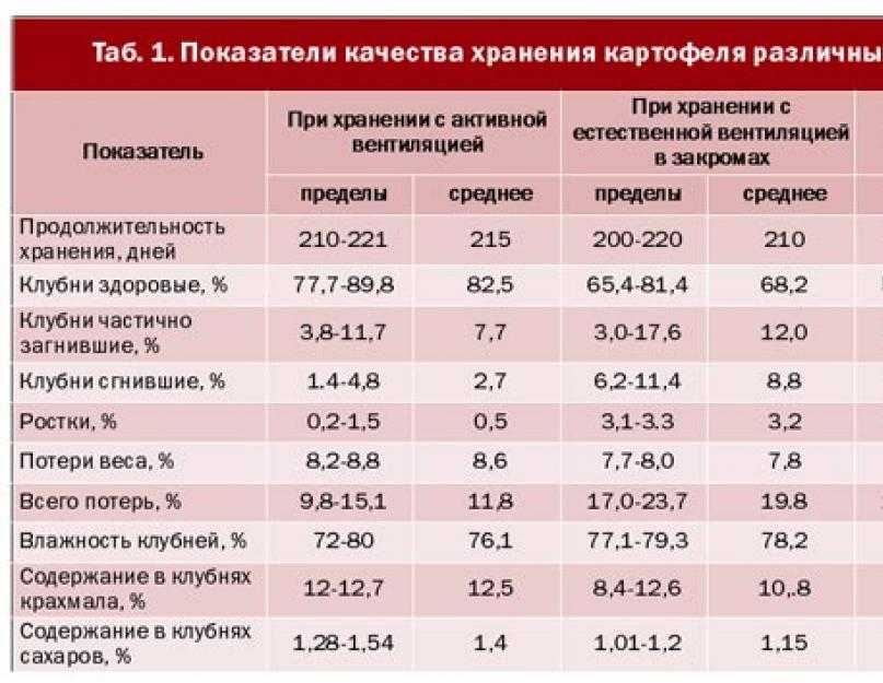 Как хранить морковь: 8 проверенных способов хранения и 3 необычных