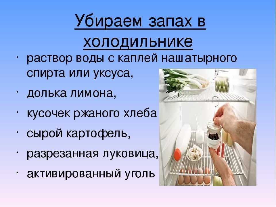 Запах рыбы везде? убираем его проверенными методами