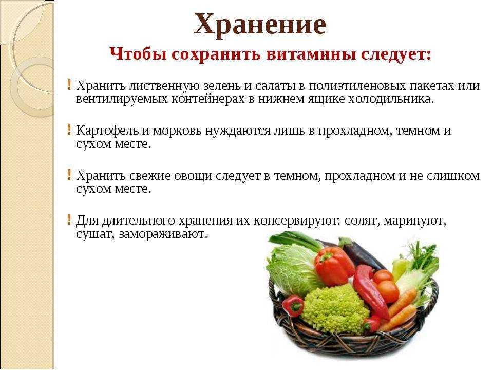 Как хранить репчатый лук в домашних условиях, в подвале, погребе, холодильнике