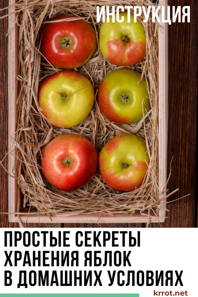 Как сохранить яблоки до весны или даже до следующего урожая свежими – лучшие способы хранения