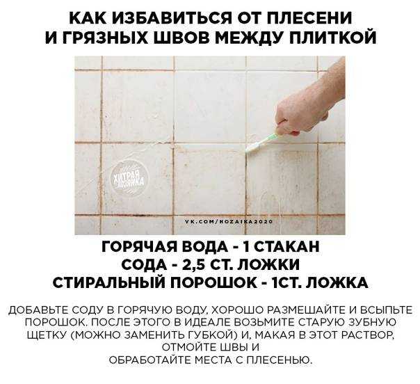 Как удалить черную плесень в ванной комнате и вывести ее навсегда?