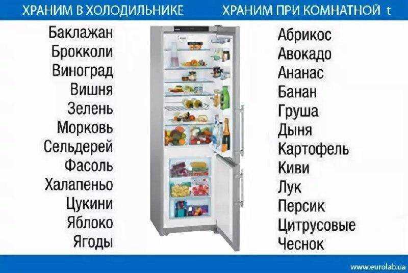 Как хранить адыгейский сыр, способы заморозки и советы, а также срок годности продукта