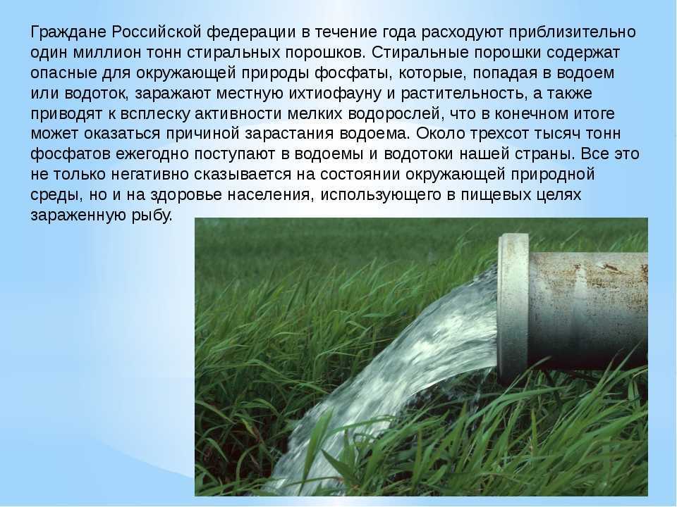 Топ-15 лучших порошков для стирки: выбираем лучший безвредный порошок