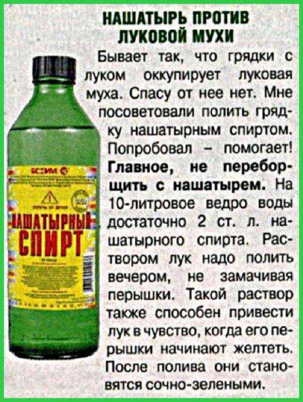 Как легко помыть окна без разводов в домашних условиях