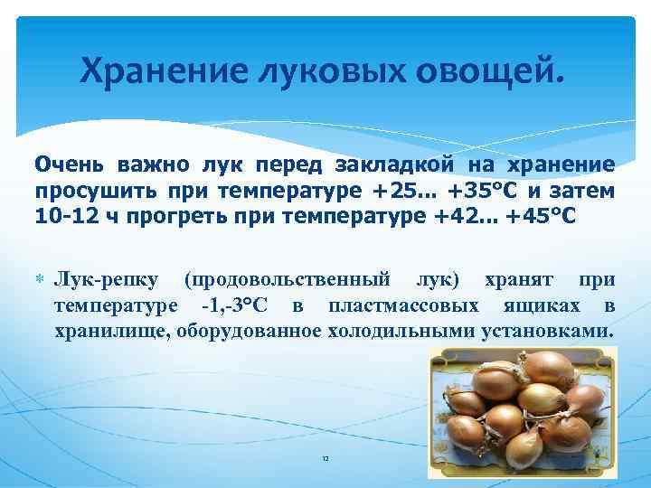 Мыть или не мыть: как подготовить зеленый лук к длительному хранению в холодильнике и надолго сберечь его свежесть — фазенда