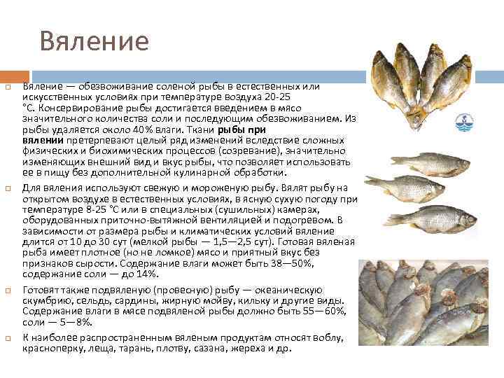 Как хранить вяленую рыбу, чтобы не пересохла