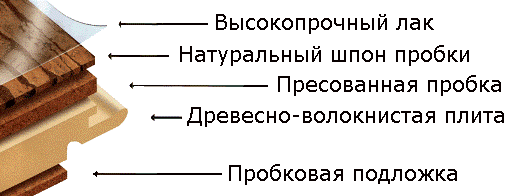 Пробковый пол и настенная пробка: 10 фактов, о которых не говорят