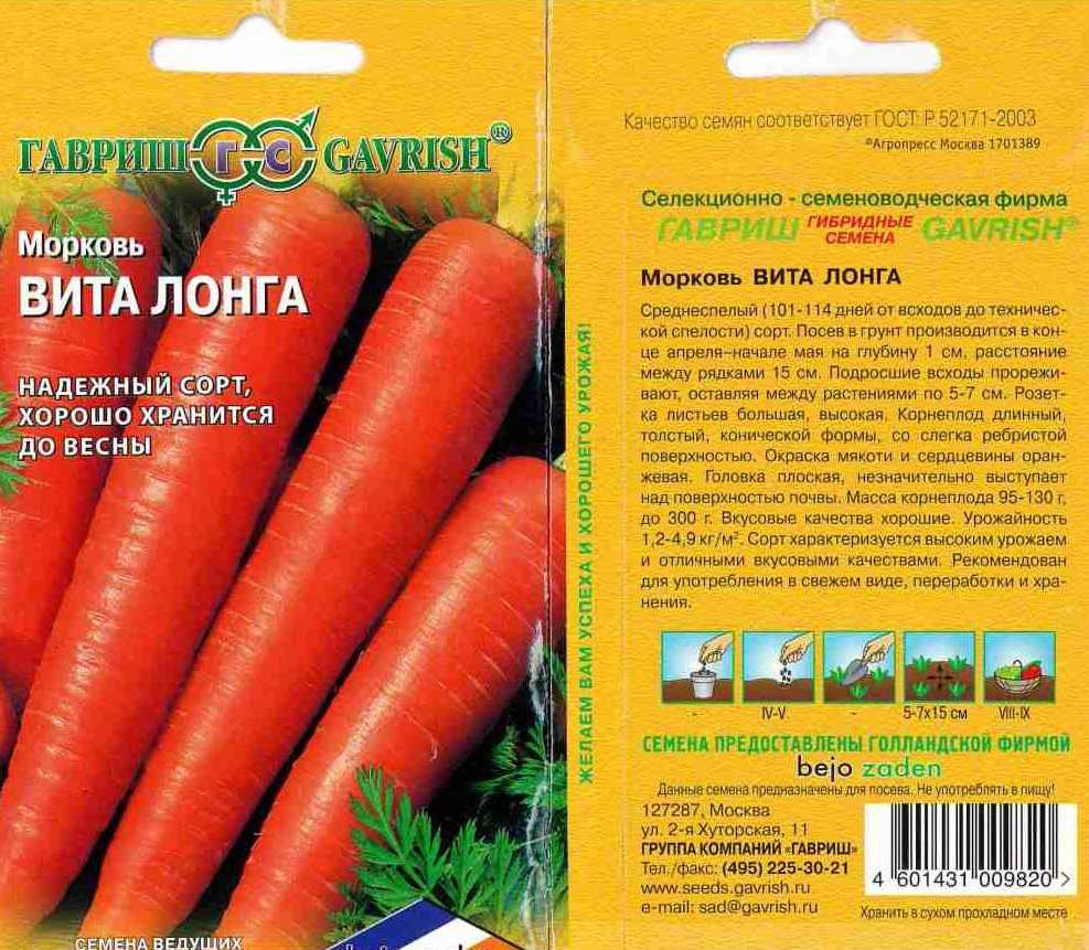 Сорта моркови для хранения: как выбрать и их описания