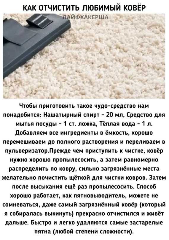 3 глобальных совета, которые помогут избавиться от кошачьей шерсти