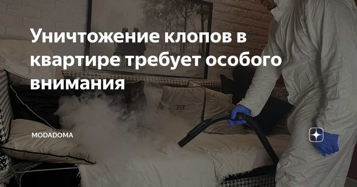 Пароочиститель и парогенератор от клопов: обработка паром