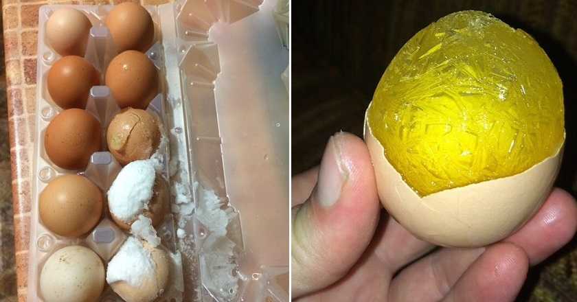 Можно ли замораживать сырые куриные яйца и что с ними будет? правила заморозки целых яиц, белков и желтков