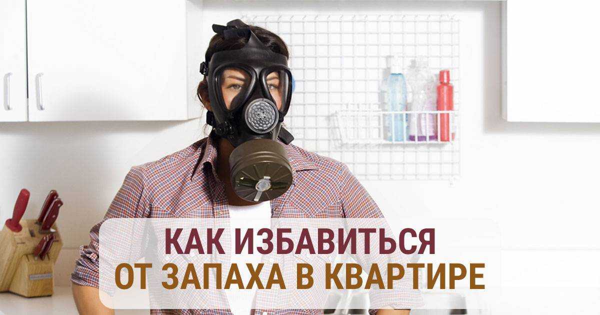 Устранение неприятного запаха в квартире. неприятный запах в квартире: причины появления и простые способы борьбы с ним