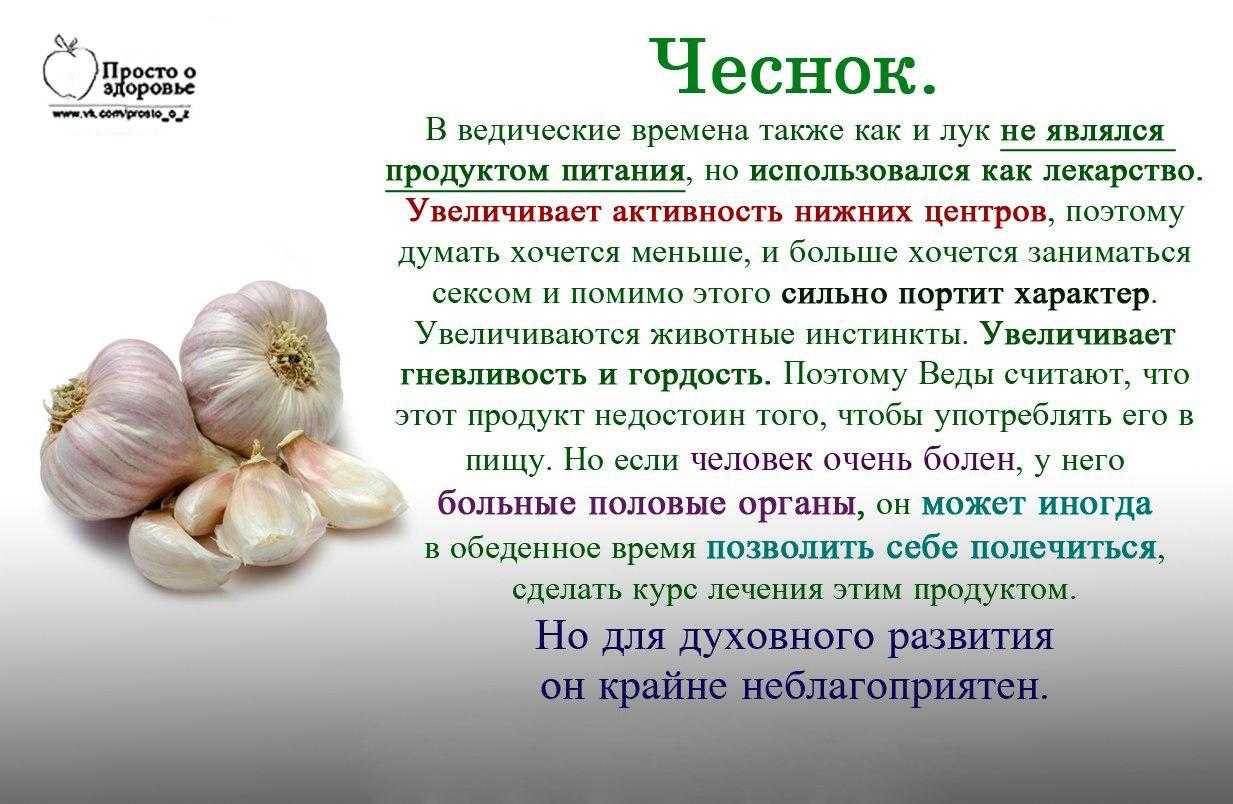 Как сохранить очищенный лук