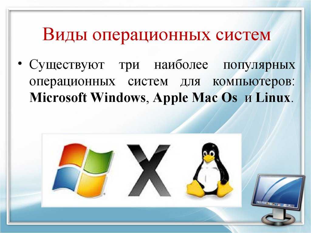 Шершень: опасен ли укус этого маленького трудяги