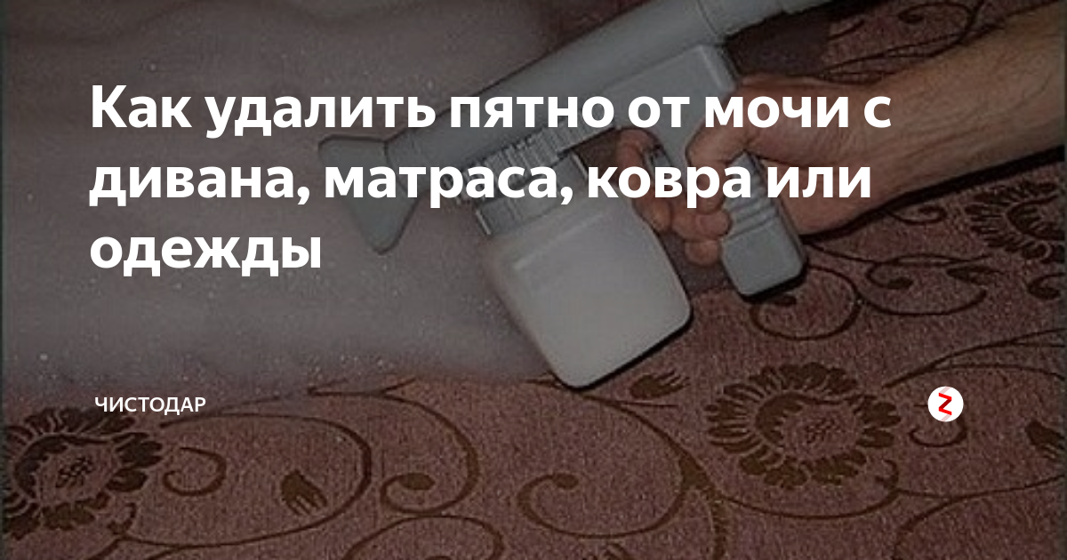 Как отмыть диван от свежих и застаревших следов мочи: видео, советы