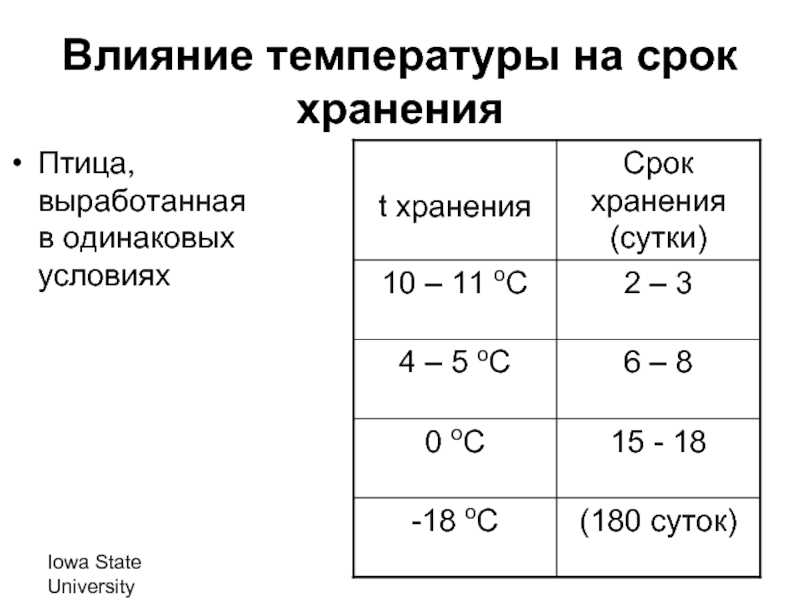 Сколько хранится курица в холодильнике и морозилке