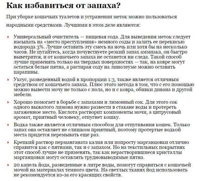 Как избавиться от запаха кошачьей мочи на диване