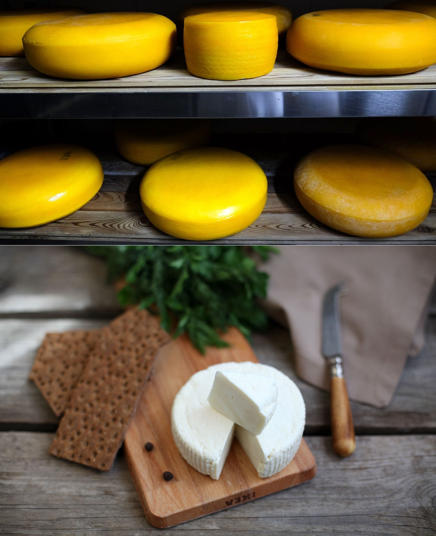 Как хранить сыр в холодильнике долго. секреты заморозки