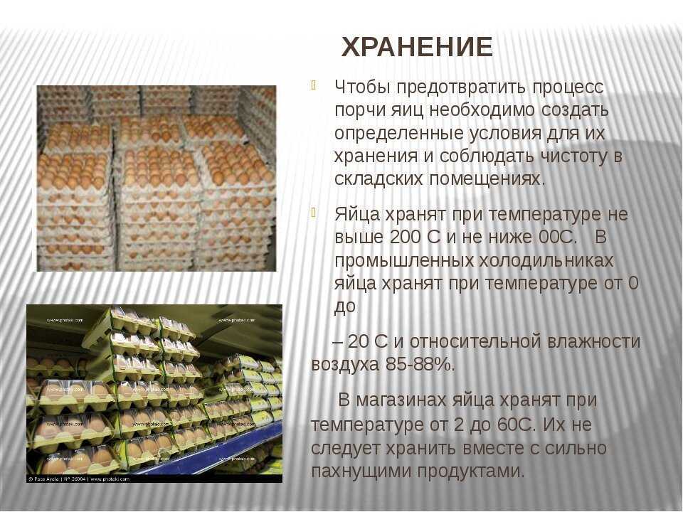 Сколько и как хранить яйца в холодильнике или при комнатной температуре