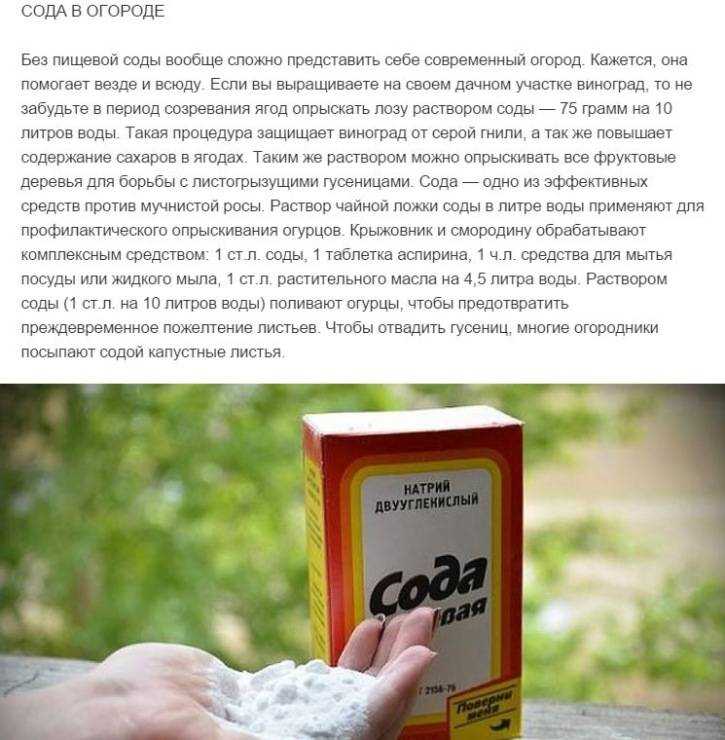 Чем лучше мыть посуду? лучшие рецепты эко средств