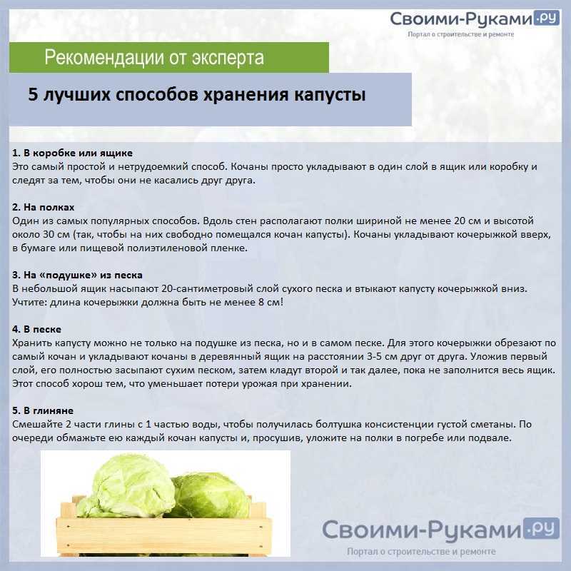 Ресурс заблокирован - resource is blocked
как хранить капусту в погребе зимой: эффективные способы хранения овощей до весны
