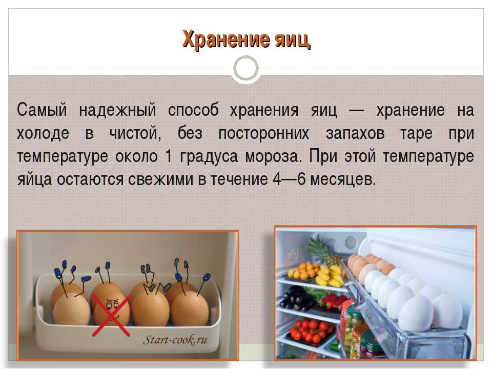 Сколько хранится вареное яйцо без холодильника, сколько дней хранятся куриные яйца вне холодильника: вареные, сырые, всмятку, в мешочек