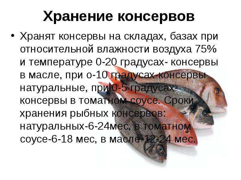 Сроки хранения рыбы (сырой и готовой) в холодильнике и морозилке