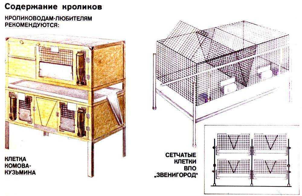 Клетки для кроликов: чертежи с размерами, пошаговая инструкция и виды конструкций